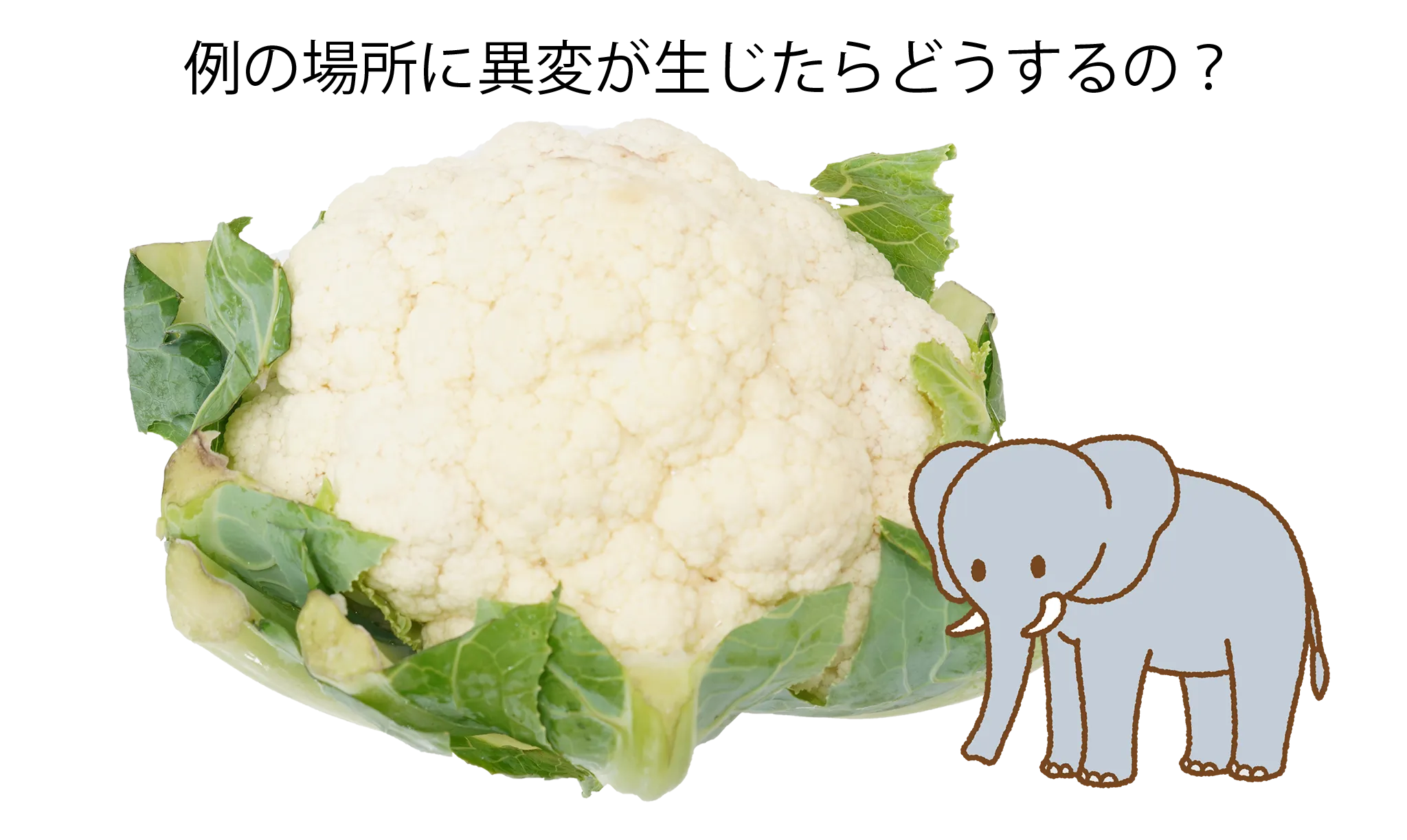 ブツブツの種類と悩み